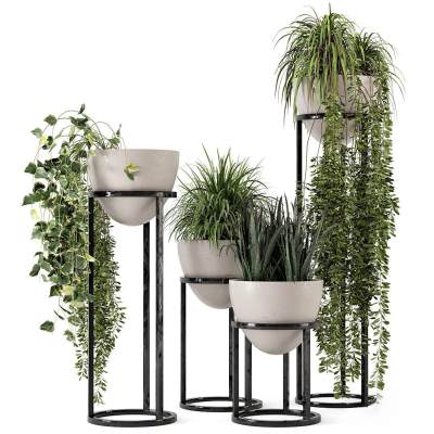 现代绿萝植物盆栽-D1